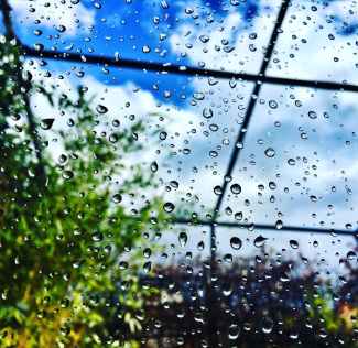 droplets glass glass window rain